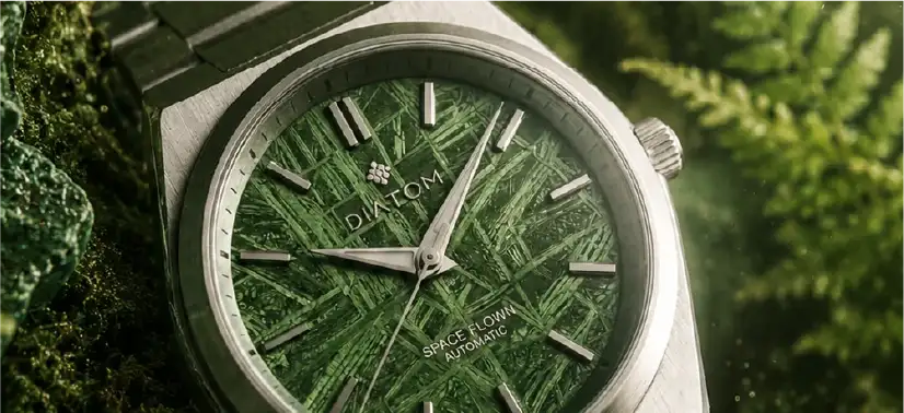 Diatom Terra